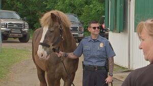 Allegheny County police horse retires after 18 years on the force