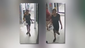 Suspect accused of stealing 82-year-old woman's purse after victim gave her money for food