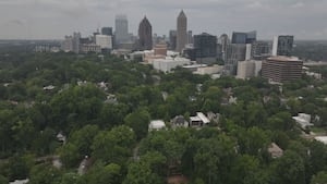 Atlanta tree removal ordinance moves forward to full council vote, fines could triple for violations