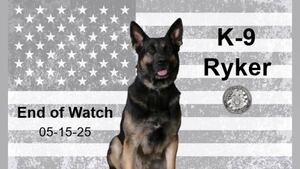 Gainesville police K9 dies suddenly while on duty