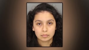 Owner of German Shepherd facing charges after dog attacked Pomeranian, nearly killing it