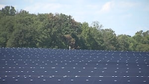 Solarize Charlotte-Mecklenburg to launch in June