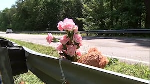 ‘Tragic loss': Community mourns 8-year-old girl killed in head-on crash