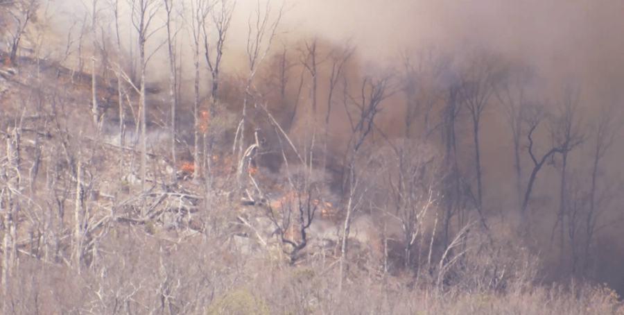 Table Rock Complex fire confirmed largest SC firefighter mobilization effort