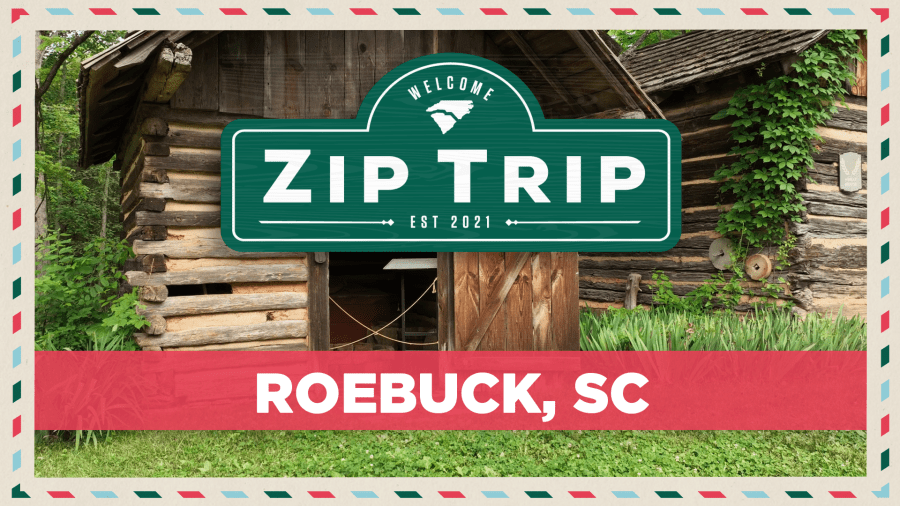 Zip Trips: Roebuck