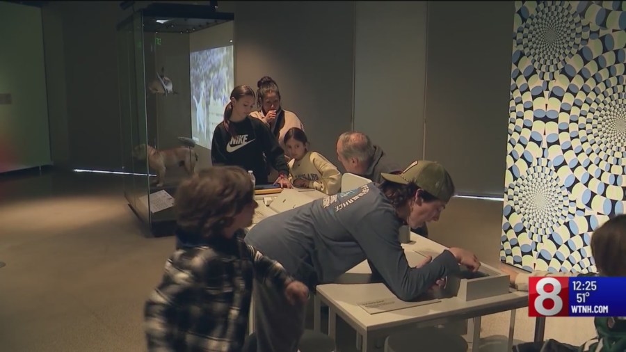 Yale Peabody Museum celebrates 1 year since reopening
