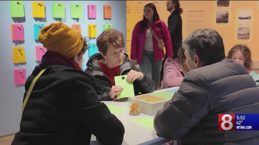 Connecticut Families: New exhibit at Yale Peabody Museum shows the wonders of our brains