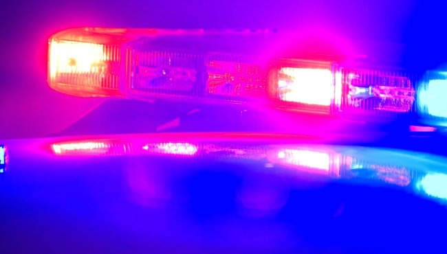 2 people arrested on drug and firearm charges in Vernon