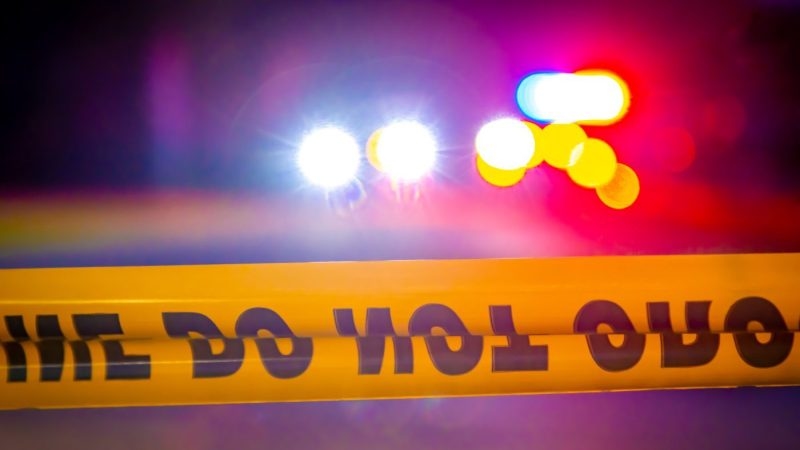 Man dead, 1 arrested after shooting at Doyle High School baseball field in Livingston