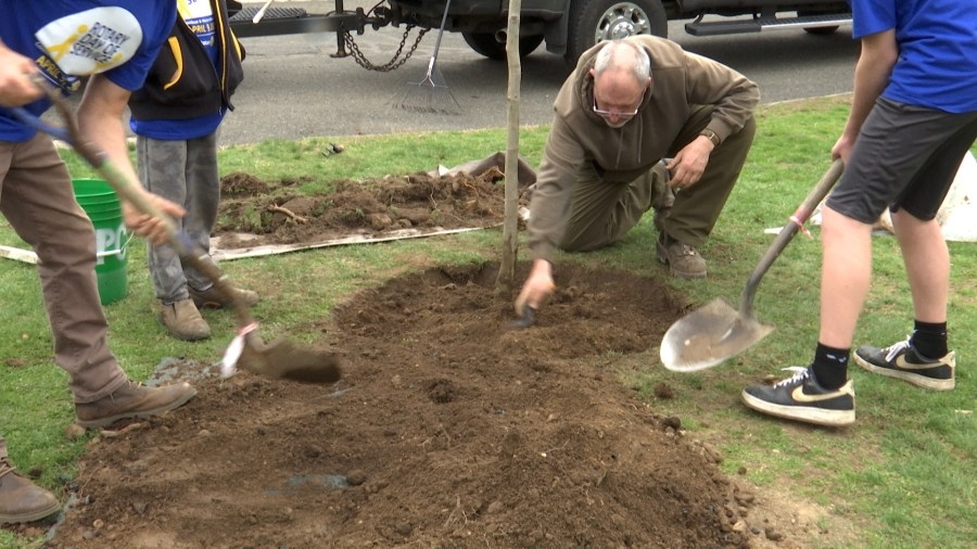 What is Arbor Day?