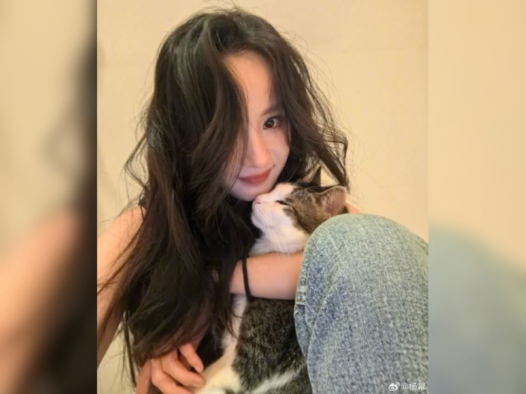 Yang Mi: I don't consider myself the perfect mother