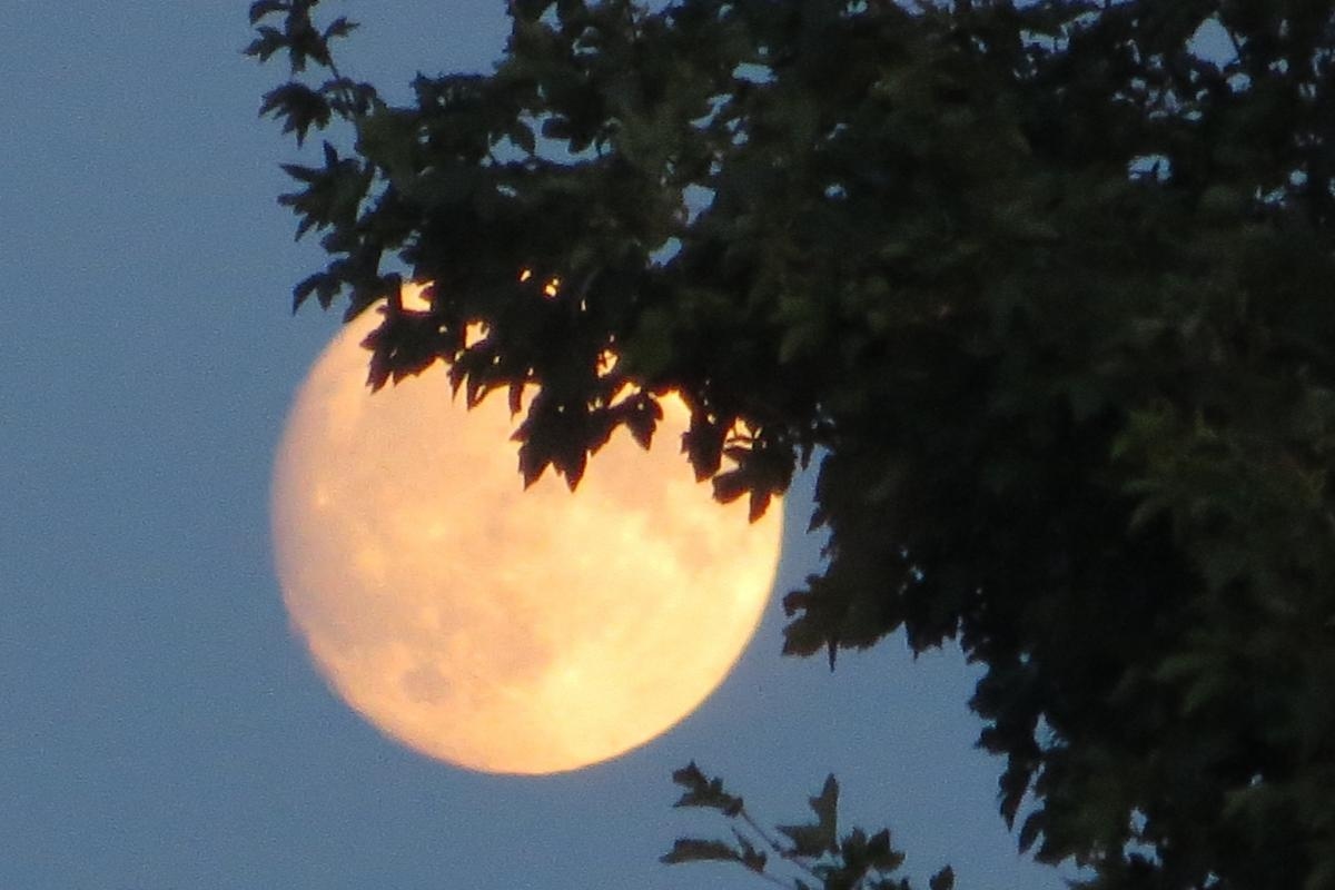 Super-sized golden moon fills York sky - still 2 days to see the spectacle