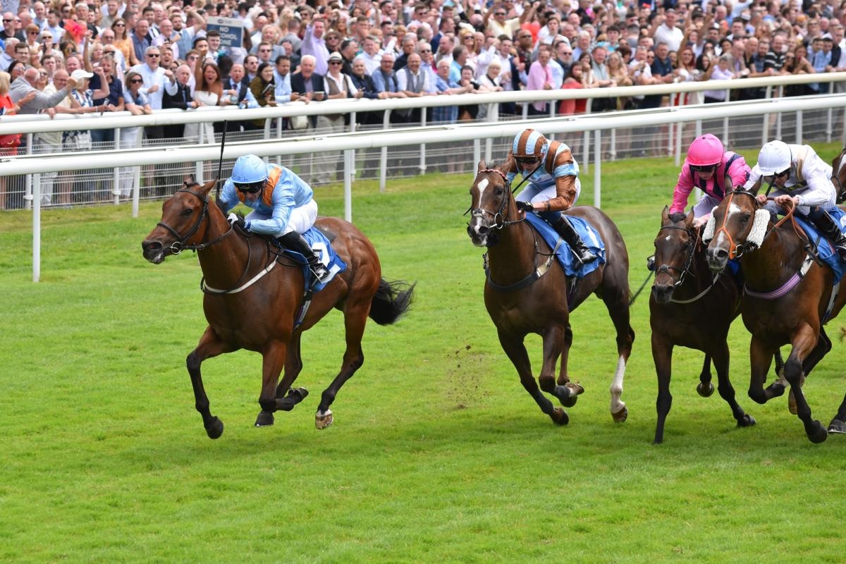 Second day of York Racecourse's Music Showcase brings excitement