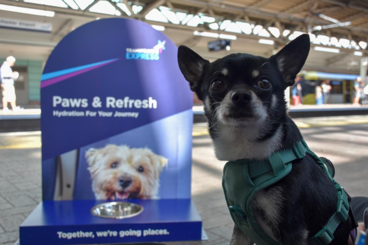 TransPennine Express installs dog water stations for National Pet Day