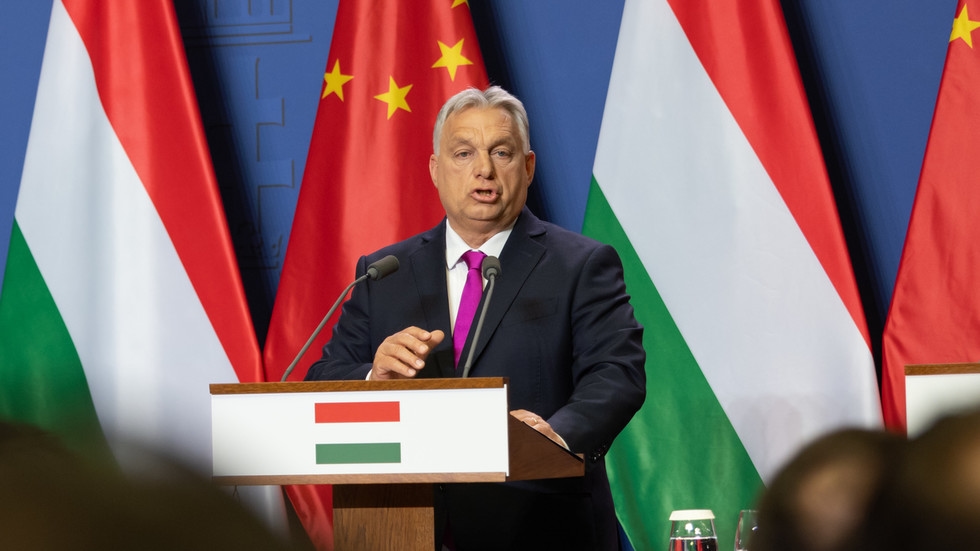 ‘Brussels hijacked our future'