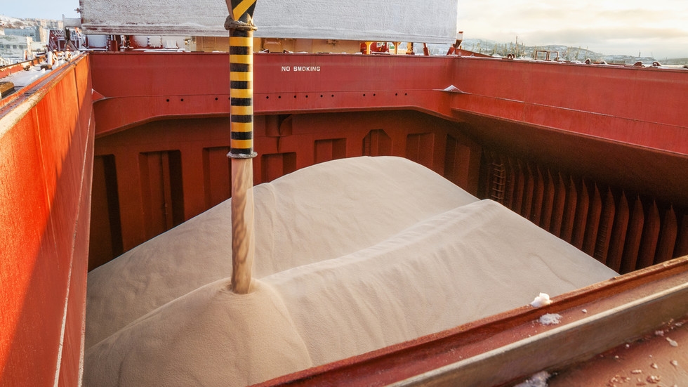 Russia's fertilizer exports to BRICS soaring