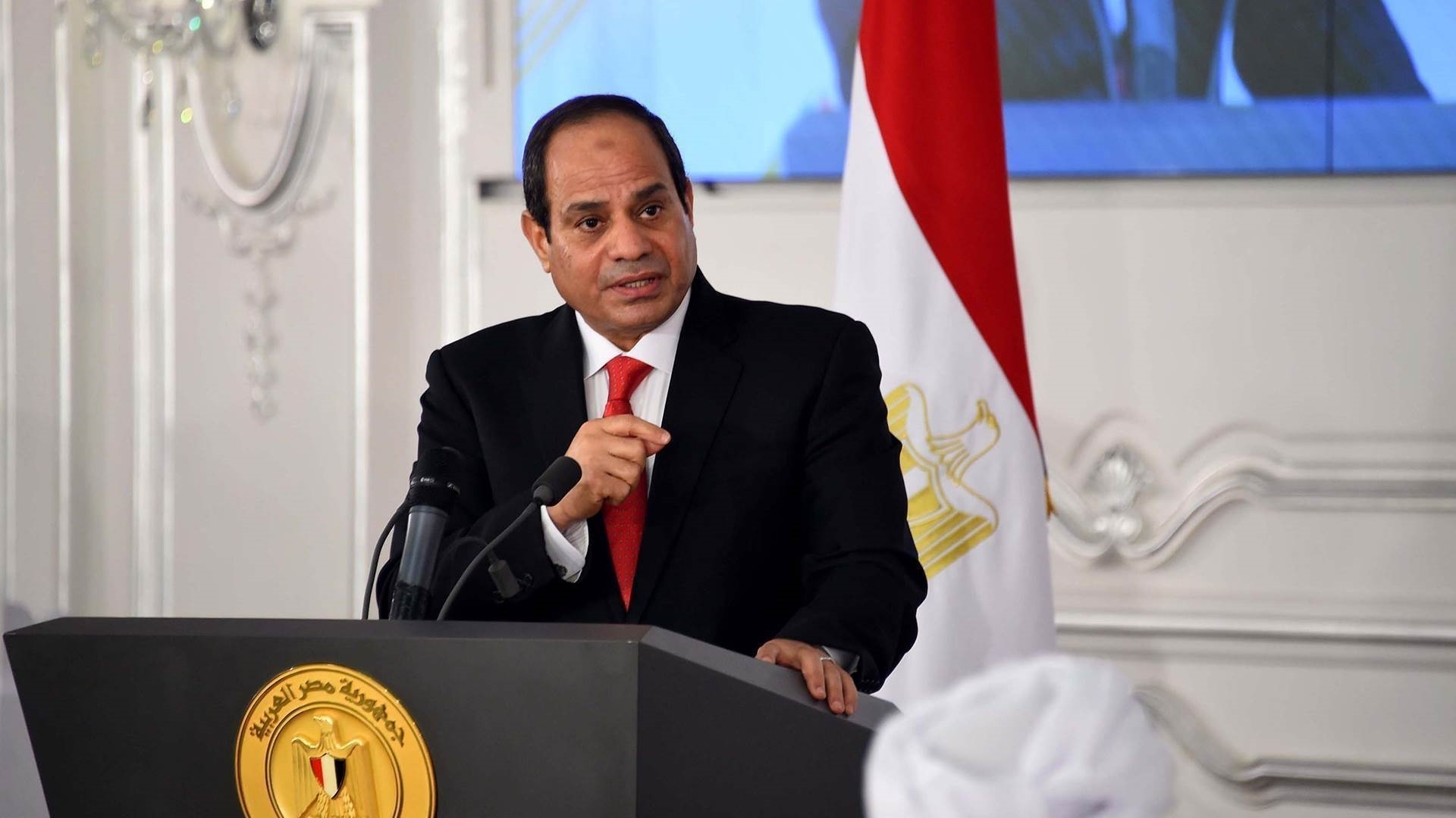 السيسي يخاطب المصريين في ذكرى الإطاحة بالإخوان المسلمين