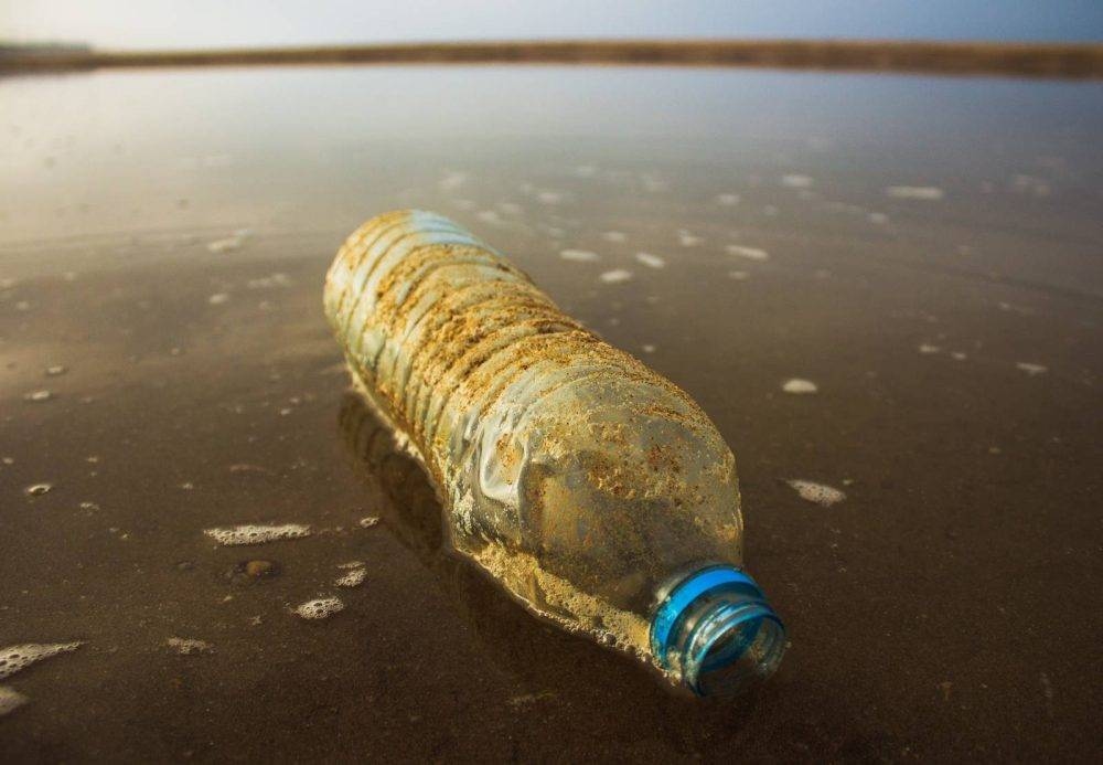 Microplastics act as ‘rafts', increasing the threat to environmental and public health