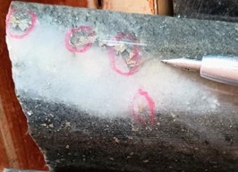 Orezone Intercepts Further High-Grade Mineralization at Bomboré Including 11.33 g/t Gold Over 11.00m and 10.28 g/t Gold Over 5.00m