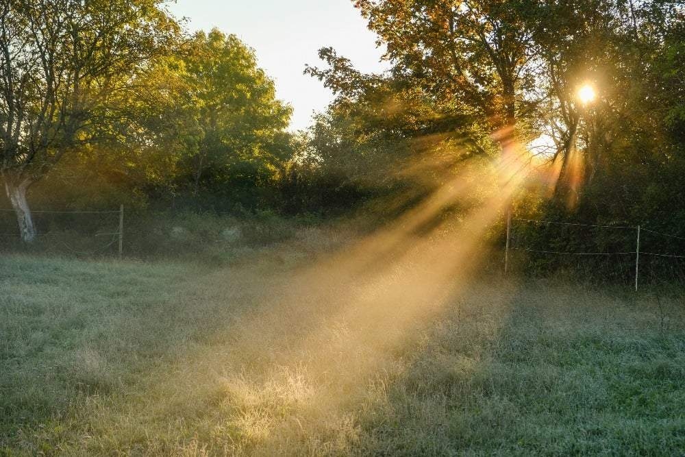 Monday's weather: Cool to cold temperatures for most parts of the country