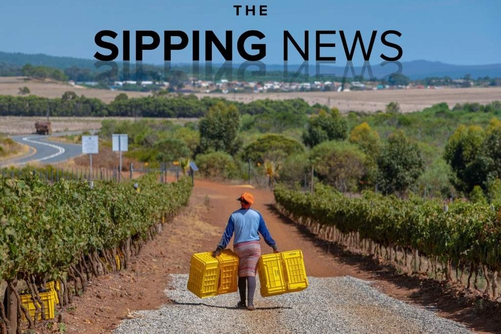 Your guide to SA's wine of origin system: Cape Agulhas 101