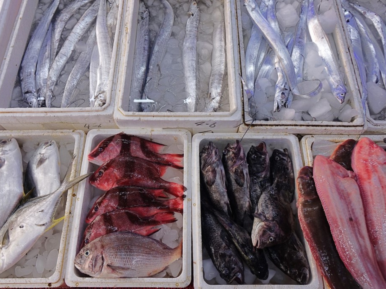 China partially resumes Japanese seafood imports