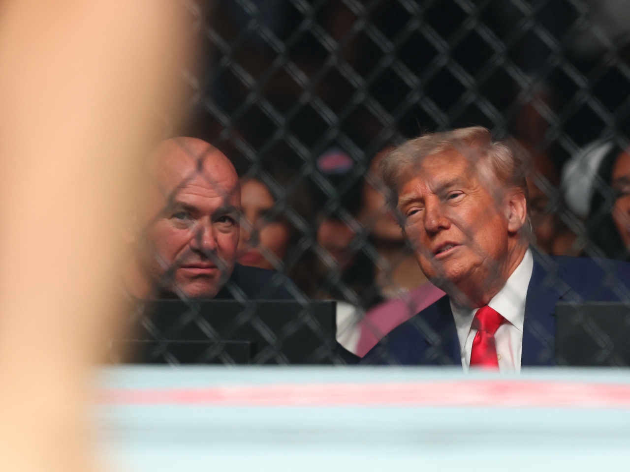 Trump hints at staging UFC fight in White House
