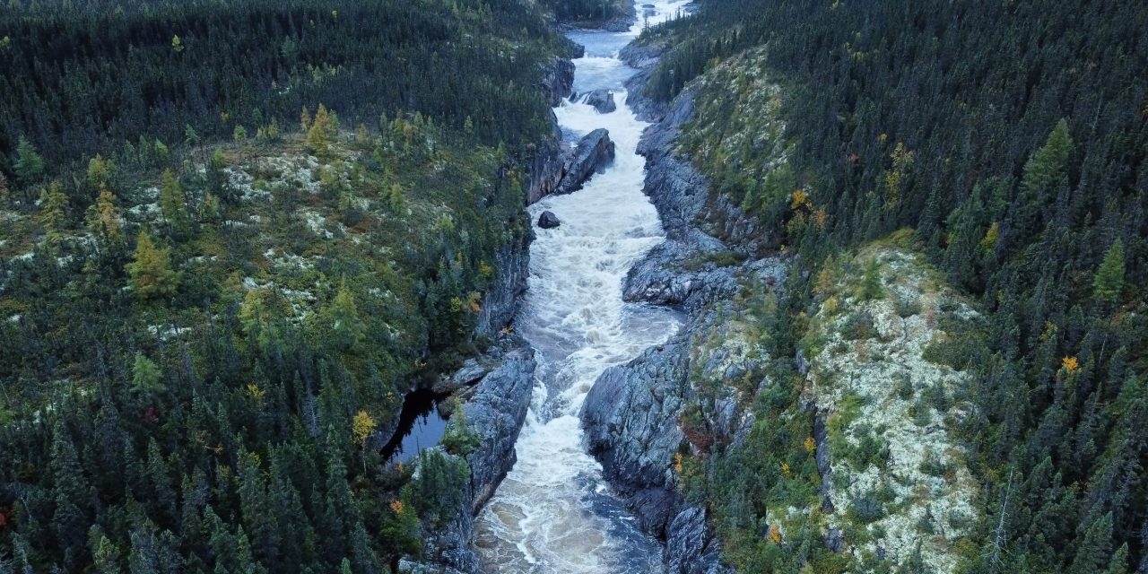 ‘Is a River Alive?' Review: Going With the Flow