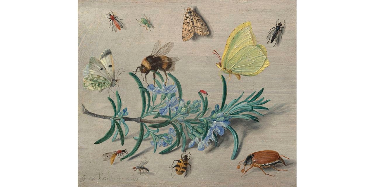 ‘Little Beasts: Art, Wonder, and the Natural World' Review: A Scientist's Eye, an Artist's Hand