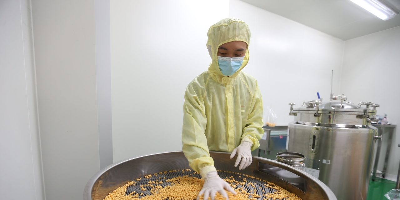 The Drug-Price Surrender to China