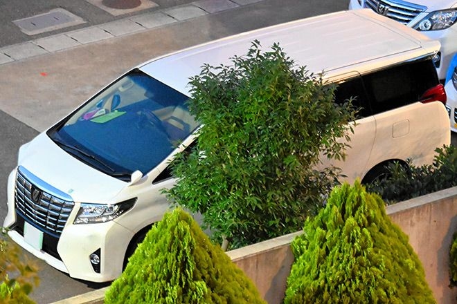 Chinese woman accused of giving tourists a lift without a license
