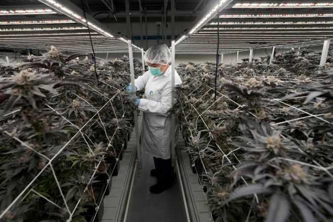 Thailand takes further step to tighten control on sales of cannabis