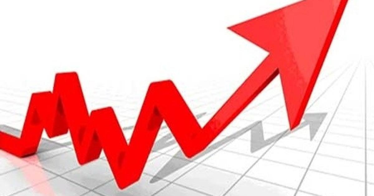 "الإحصاء": ارتفاع حاد بأسعار المنتج بنسبة 31.61% الشهر الماضي