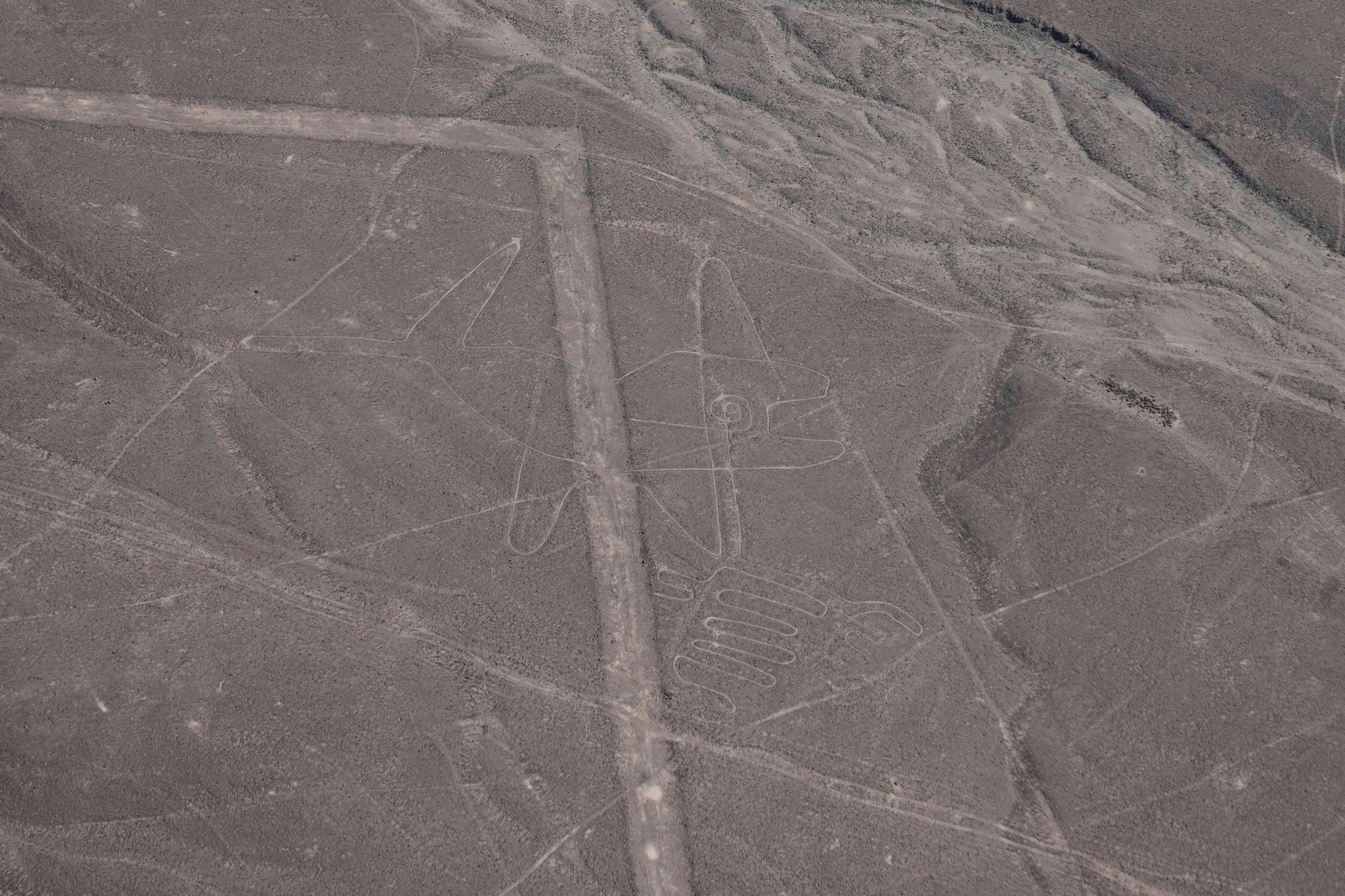 Peru reinstates full protection of Nazca Lines reserve after controversial cutback