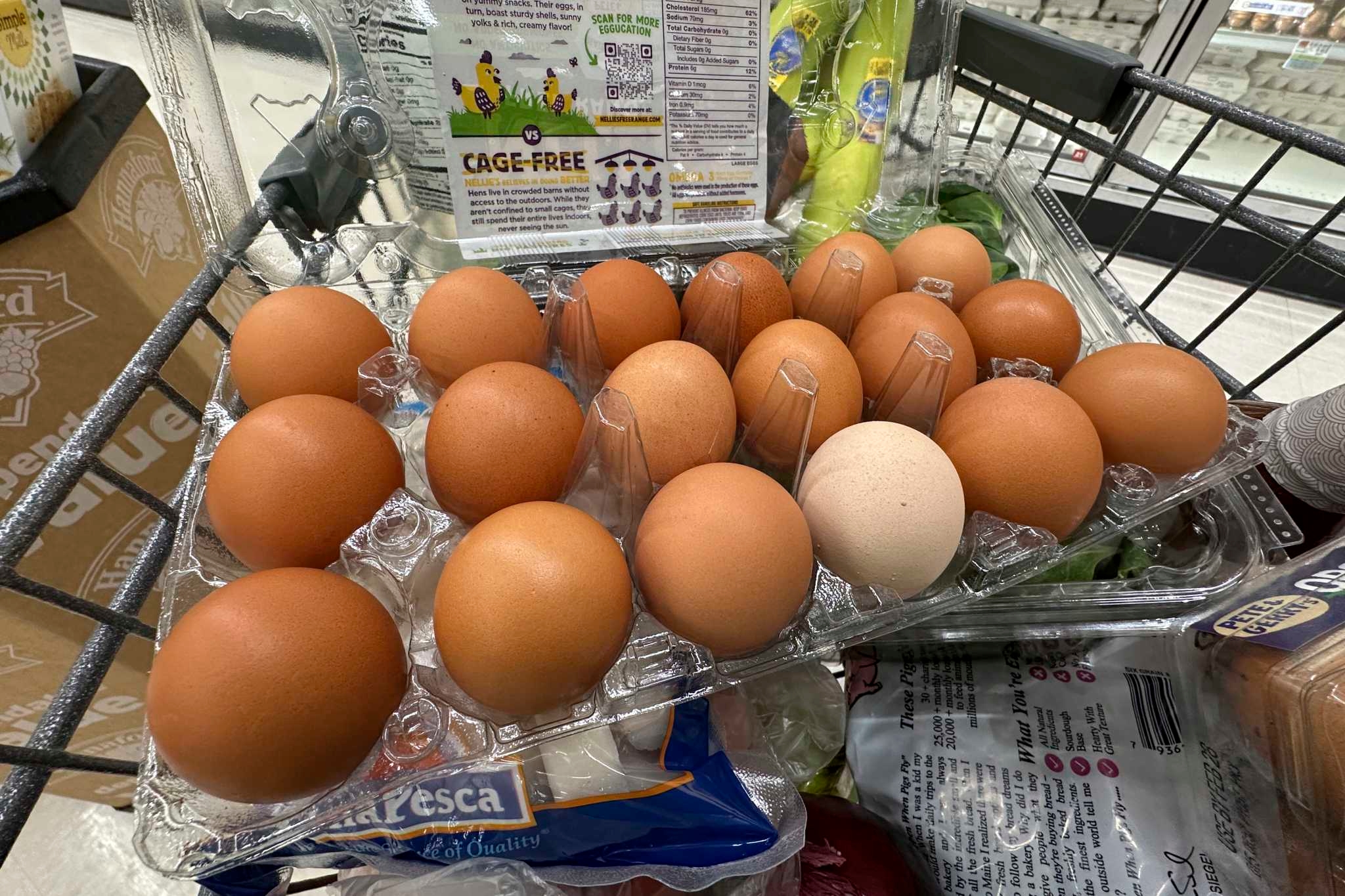 Trump's DOJ blames egg prices on California in new lawsuit