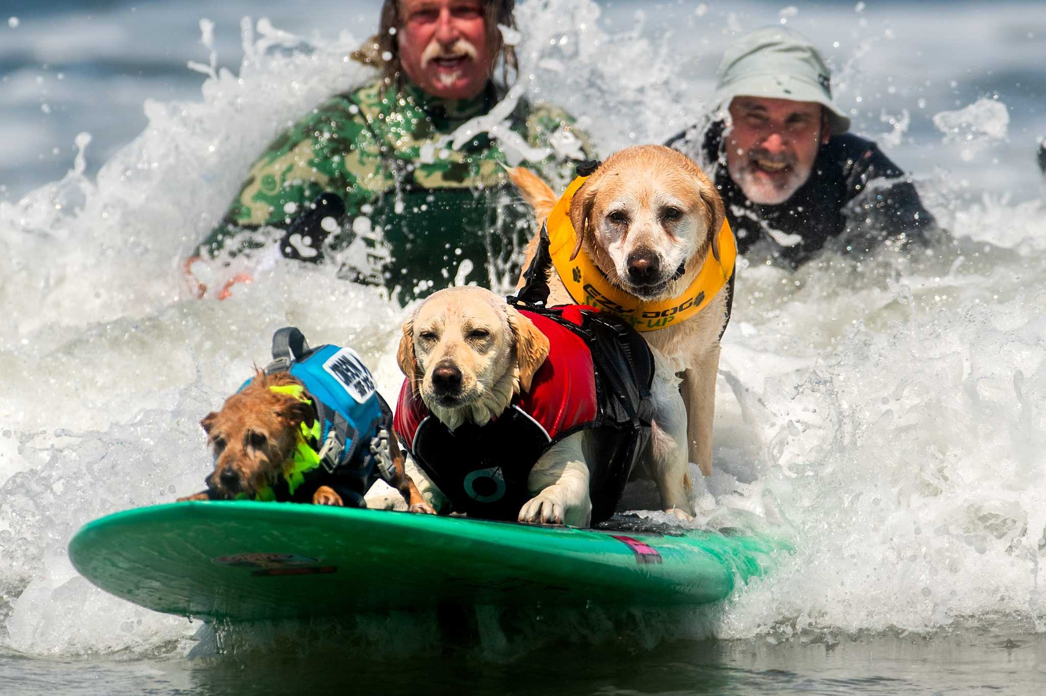 Bay Area summer 2025: Beat the heat with cool events and activities