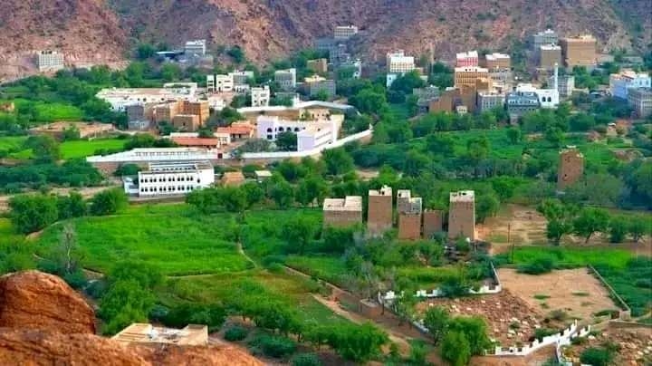 محافظة شبوة تطلق صافرة الإنذار: تدفق المهاجرين يهدد بكارثة إنسانية وأمنية