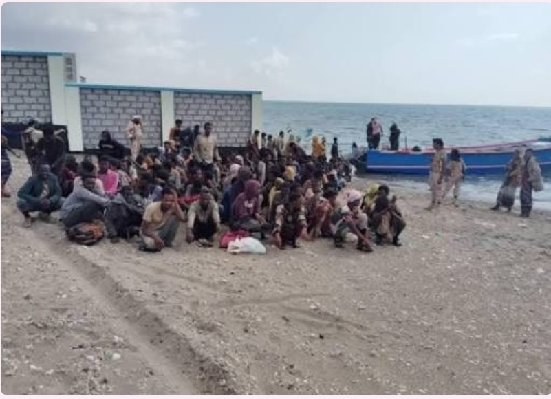 وصول 150 مهاجرًا أفريقيًا غير شرعي إلى سواحل شبوة وسط عجز السلطات عن الترحيل