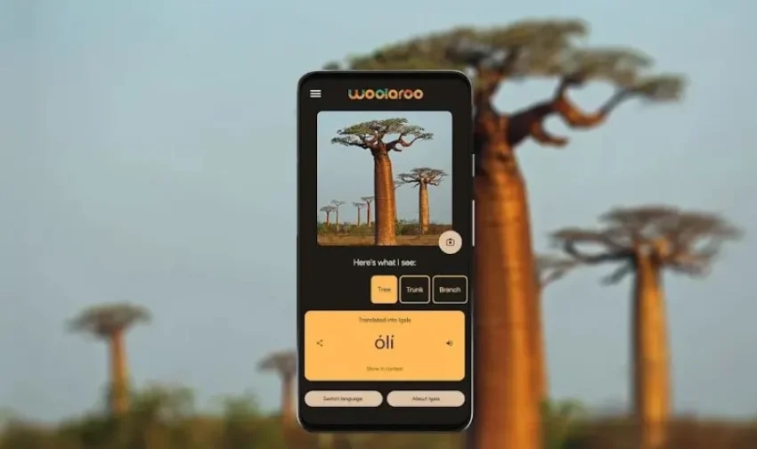 جوجل تصدر تحديث أداة Woolaroo لحماية اللغات الأصلية المُهددة بالاندثار