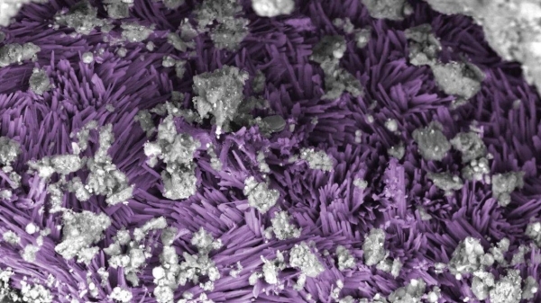 Asteroid sample reveals ‘building blocks of life are in fact extraterrestrial in origin'