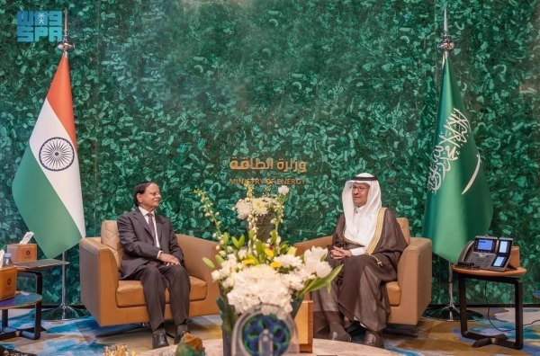 Energy minister meets Indian PM's principal secretary and Egypt's FM