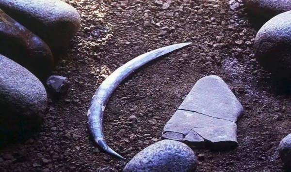 World&#039;s oldest boomerang doesn&#039;t actually come back
