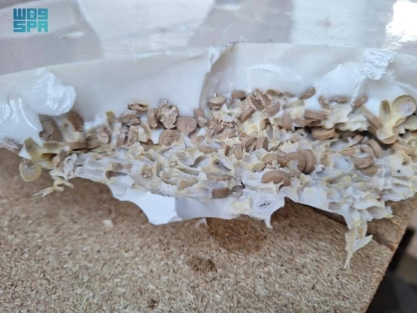 Saudi-Lebanese cooperation foils attempt to smuggle over 5 million amphetamine pills