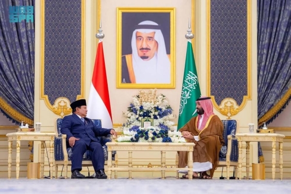 Saudi Arabia and Indonesia call for immediate end to Gaza catastrophe