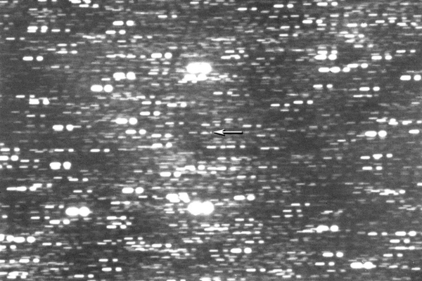 Astronomers spot an interstellar object zipping through our solar system