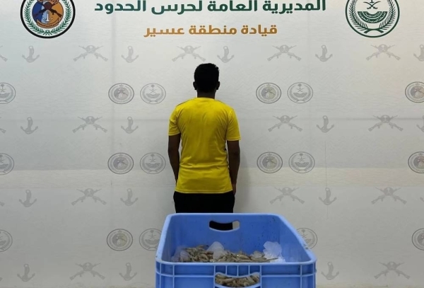 Bangladeshi expat caught fishing illegally off Asir coast