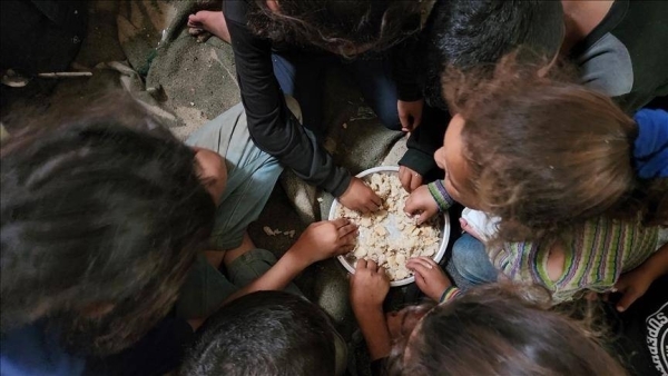 Gaza's infants face mass death amid formula shortage, media office warns
