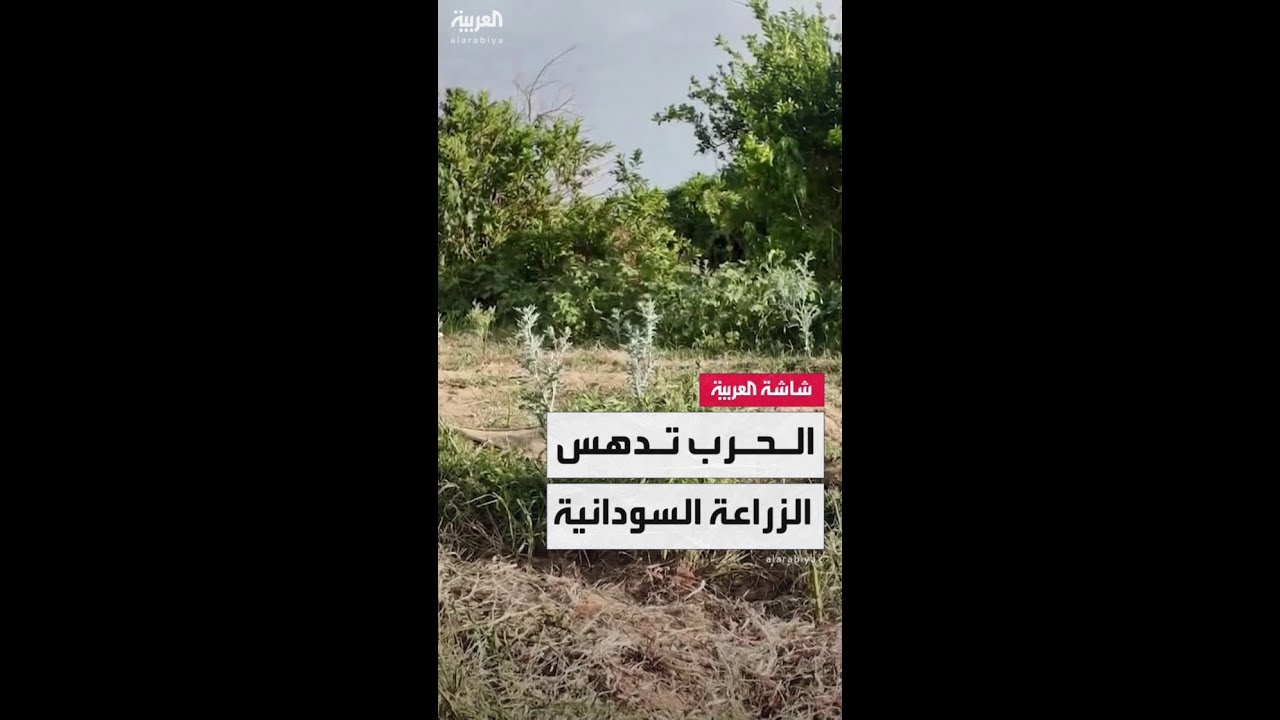 فيديو: من ارتفاع أسعار الوقود إلى نقص البذور والأسمدة.. الحرب ترفع تكاليف الزراعة في السودان