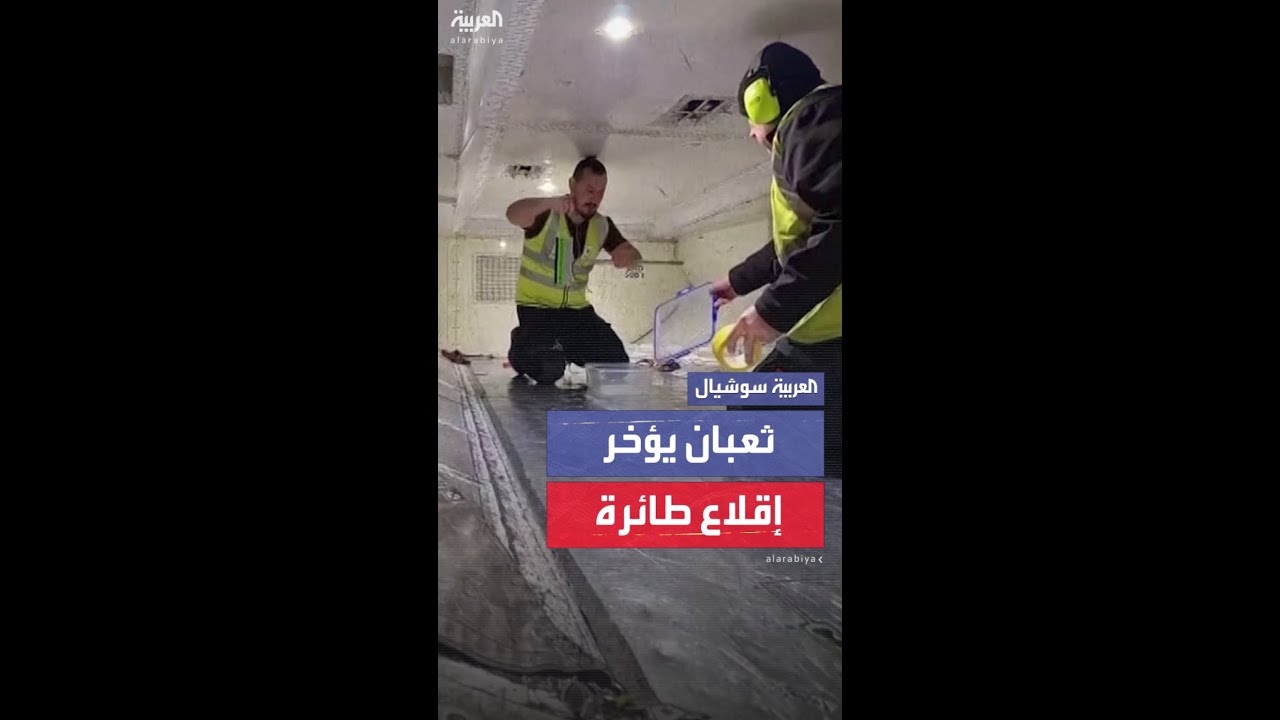 فيديو: ثعبان يتسبب بتأخير رحلة داخل أستراليا لمدة ساعتين