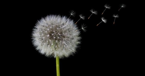 Hidden in plain sight, chronic stress is key to increased dementia and Alzheimer's risk